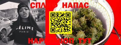 дживик Тара