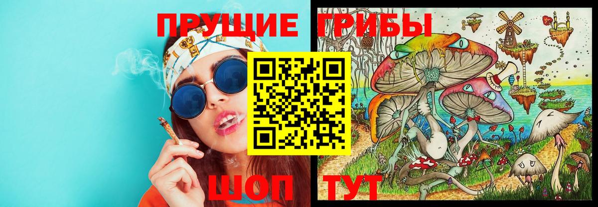 Барабинск  Галлюциногенные грибы Psilocybe  закладки  Вход с VPN 